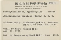 長肋青蘚藏品圖，第2張