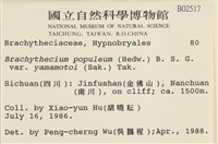 登錄號:B00002517藏品圖，第2張