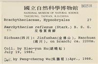 仰葉青蘚藏品圖，第2張