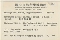 燕尾蘚藏品圖，第2張