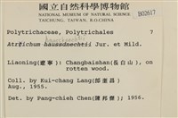 仙鶴蘚藏品圖，第2張