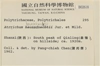 仙鶴蘚藏品圖，第2張
