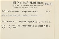 小仙鶴蘚藏品圖，第2張