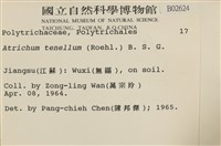 登錄號:B00002624藏品圖，第2張