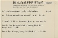 登錄號:B00002625藏品圖，第2張