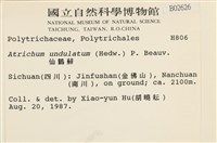 仙鶴蘚藏品圖，第2張