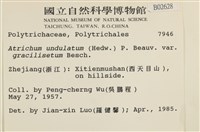 登錄號:B00002628藏品圖，第2張