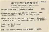 登錄號:B00002629藏品圖，第2張