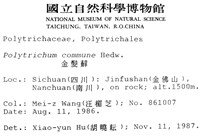 金髮蘚藏品圖，第2張