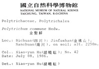 金髮蘚藏品圖，第2張