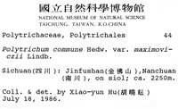 登錄號:B00002652藏品圖，第2張