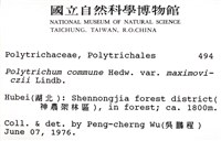 登錄號:B00002653藏品圖，第2張