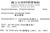 擬金髮蘚藏品圖，第2張