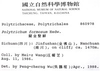 擬金髮蘚藏品圖，第2張