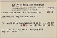 登錄號:B00002662藏品圖，第2張