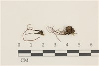 登錄號:B00002663藏品圖，第1張