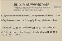 睫毛苔藏品圖，第2張