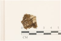 登錄號:B00002674藏品圖，第1張