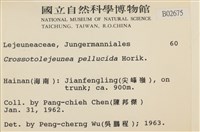 登錄號:B00002675藏品圖，第2張