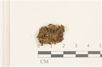 登錄號:B00002675藏品圖，第1張