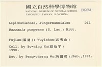 登錄號:B00002684藏品圖，第2張