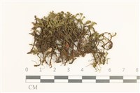 登錄號:B00002684藏品圖，第1張