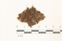 登錄號:B00002688藏品圖，第1張