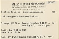 登錄號:B00002689藏品圖，第2張