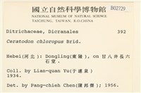登錄號:B00002729藏品圖，第2張