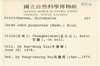 角齒蘚藏品圖，第2張