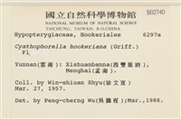 登錄號:B00002740藏品圖，第2張