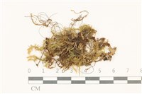 登錄號:B00002740藏品圖，第1張