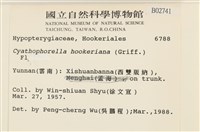 登錄號:B00002741藏品圖，第2張