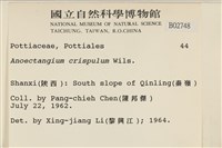 卷葉叢本蘚藏品圖，第2張