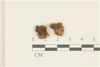 登錄號:B00002751藏品圖，第1張