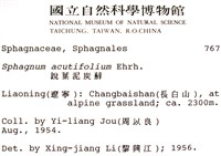 銳葉泥炭蘚藏品圖，第2張