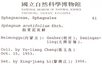 銳葉泥炭蘚藏品圖，第2張