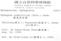 船葉泥炭蘚藏品圖，第2張