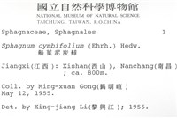 船葉泥炭蘚藏品圖，第2張
