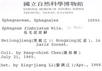 長毛泥炭蘚藏品圖，第2張