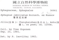 覆葉泥炭蘚, 毛壁泥炭蘚藏品圖，第2張