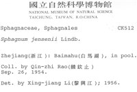 垂枝泥炭蘚藏品圖，第2張