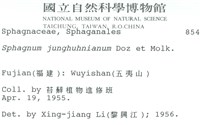 暖地泥炭蘚藏品圖，第2張