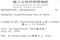 暖地泥炭蘚藏品圖，第2張