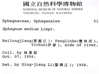 登錄號:B00002768藏品圖，第2張