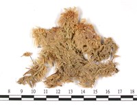 登錄號:B00002768藏品圖，第3張