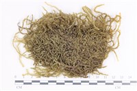 登錄號:B00002771藏品圖，第1張