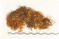 登錄號:B00002772藏品圖，第1張