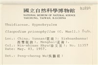 登錄號:B00002839藏品圖，第2張