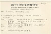 登錄號:B00002842藏品圖，第2張